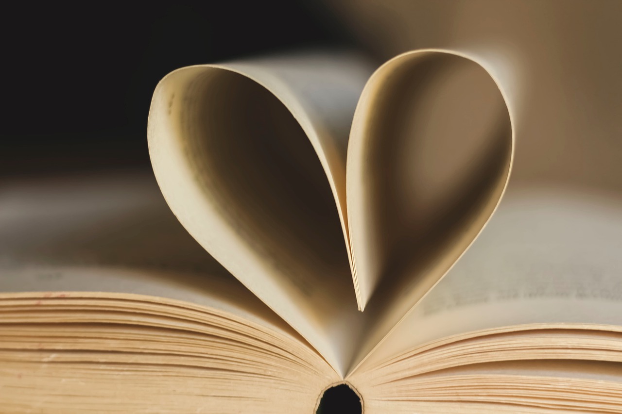 photo 11 livre coeur
